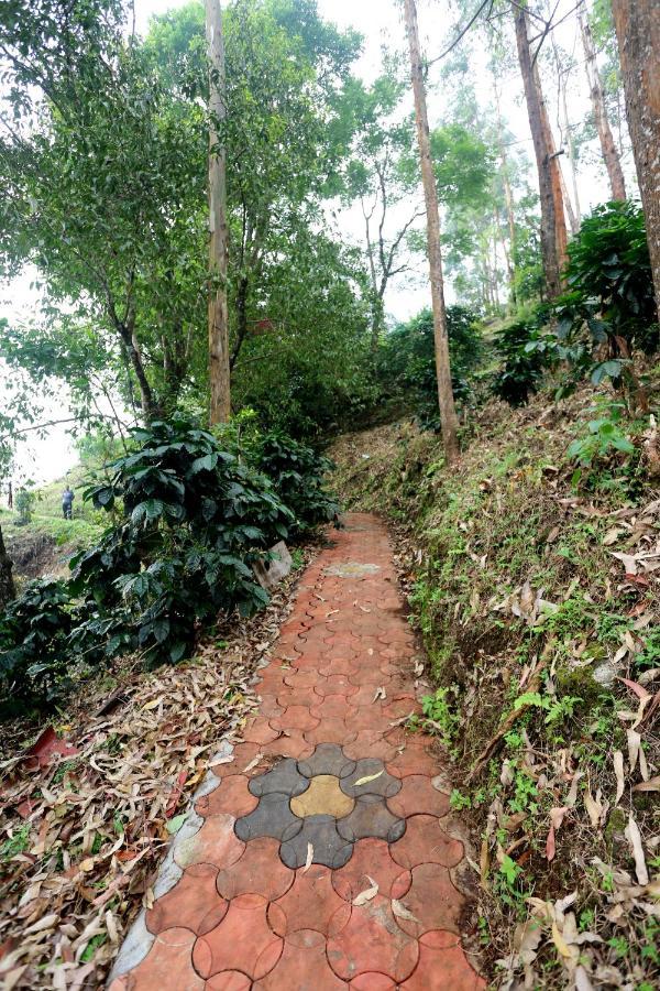 Green Magic Home Munnar Luaran gambar