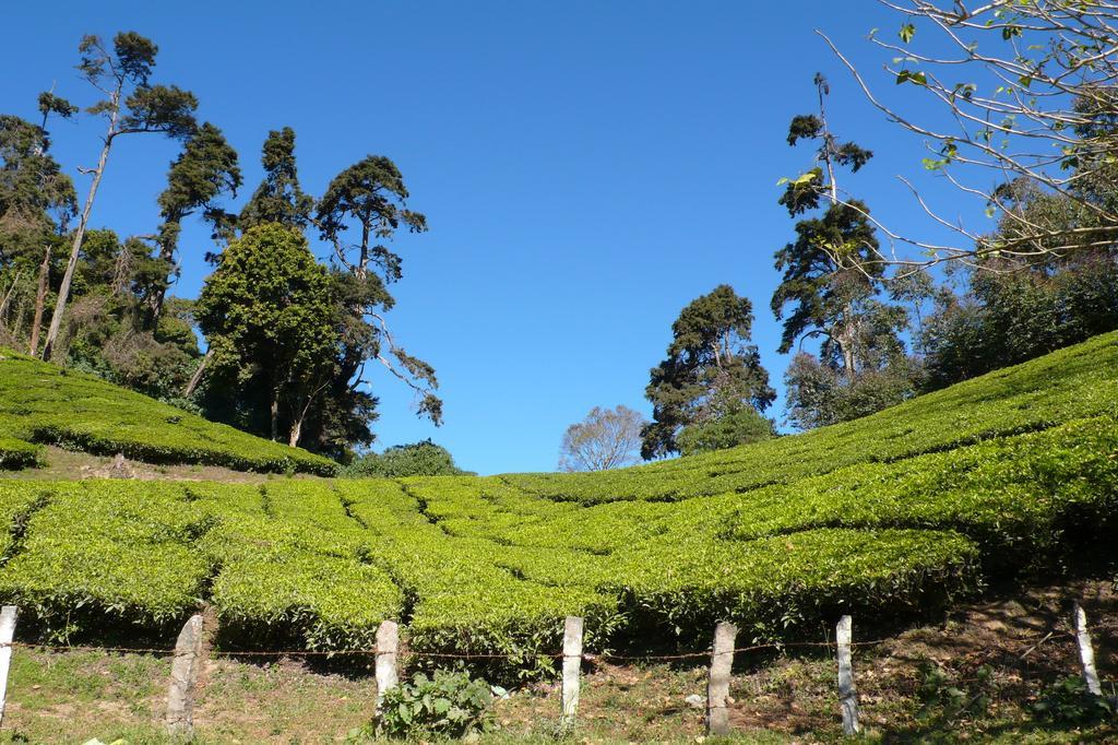 Green Magic Home Munnar Luaran gambar