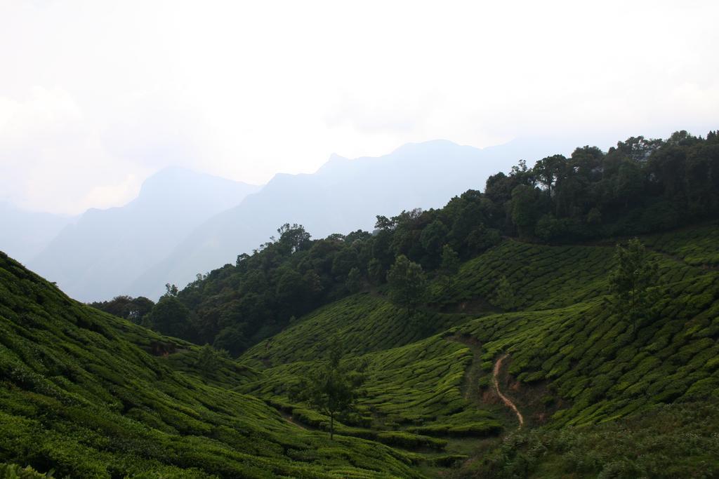 Green Magic Home Munnar Luaran gambar